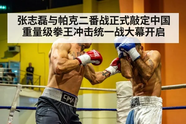 heavyweight boxing match