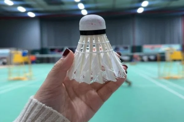 国际象棋世界冠军赛丁立人与卡尔森对决分析胜负手全景解读